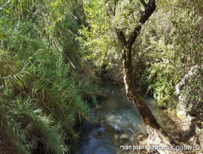 הטנק%20הסורי%20-%20נחל%20חרמון%20,%20נחל%20חרמון